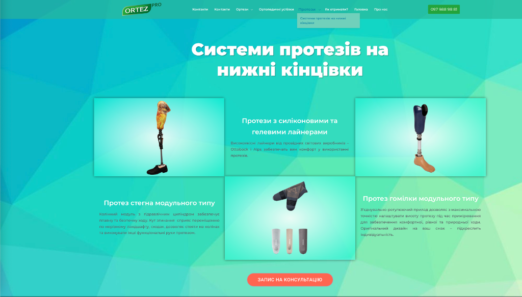 Системи ортезів на нижні кінцівки